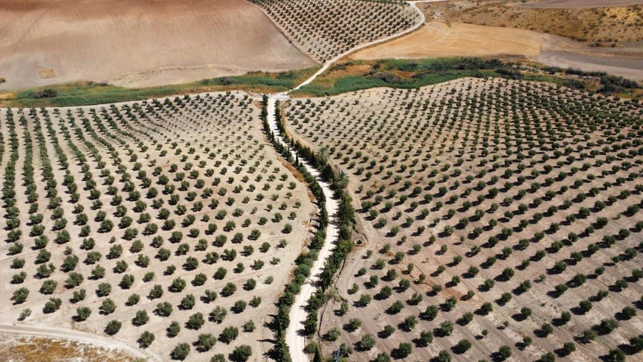 Cortijo Donana Villa La Puebla de Cazalla Eksteriør bilde