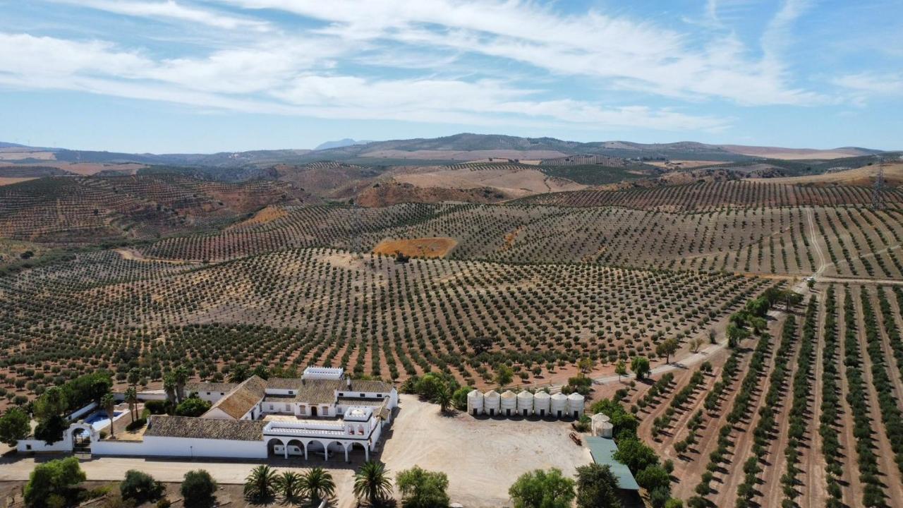 Cortijo Donana Villa La Puebla de Cazalla Eksteriør bilde