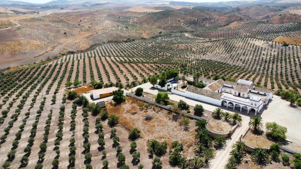 Cortijo Donana Villa La Puebla de Cazalla Eksteriør bilde