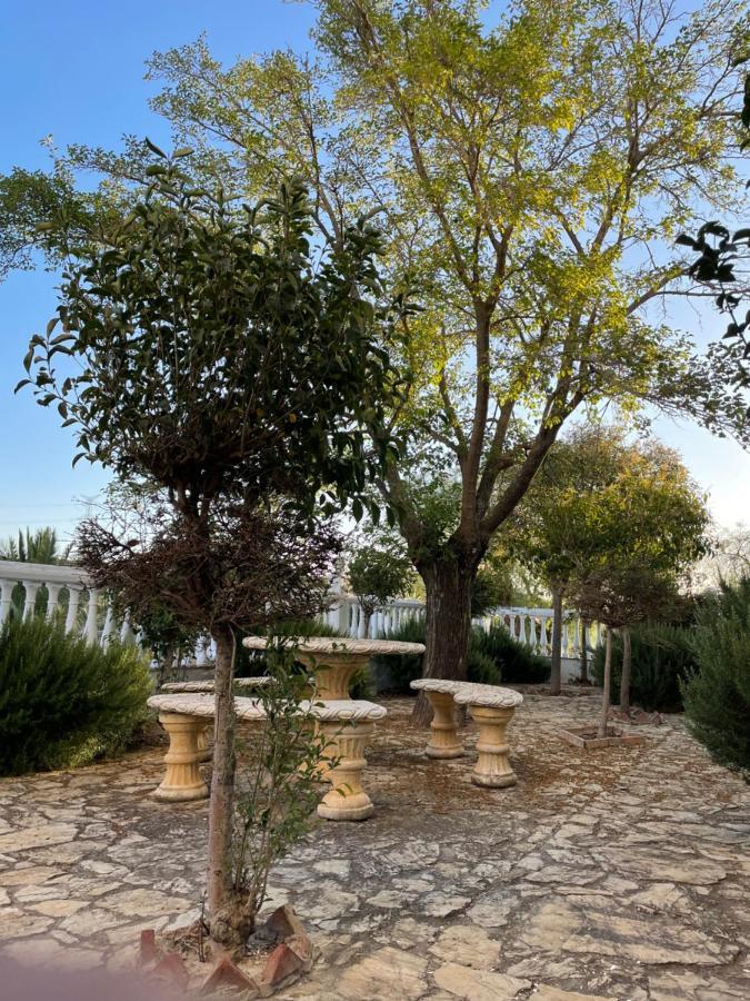 Cortijo Donana Villa La Puebla de Cazalla Eksteriør bilde