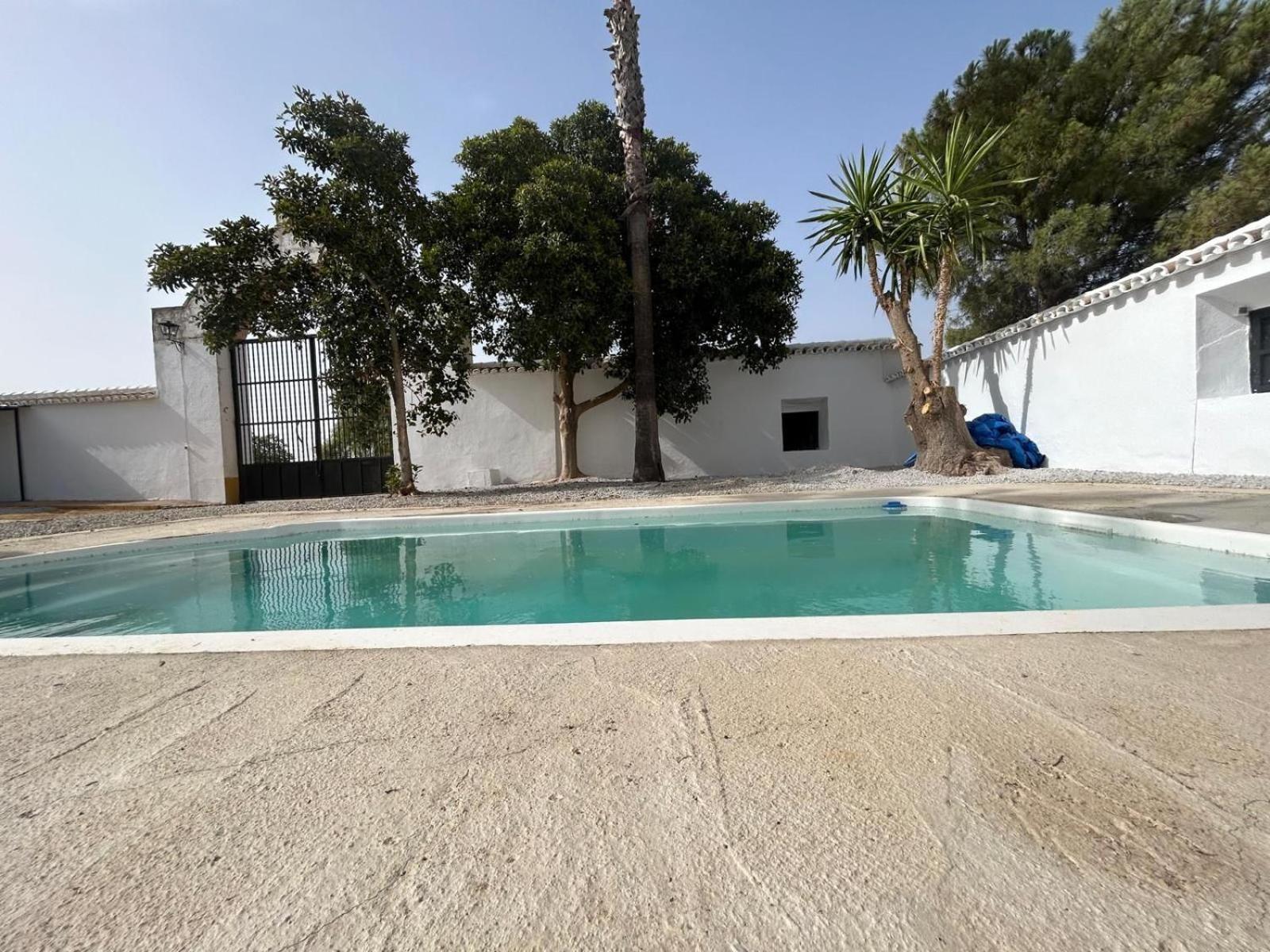 Cortijo Donana Villa La Puebla de Cazalla Eksteriør bilde